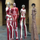 Illustration for article titled When Official iAttack on Titan/i Cosplay Looks Strange